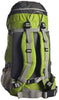 Wildcraft Rock & Ice Green Rucksack